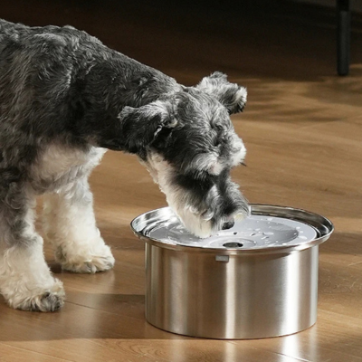 abreuvoir-pour-chien-drinker-anti-eclaboussure