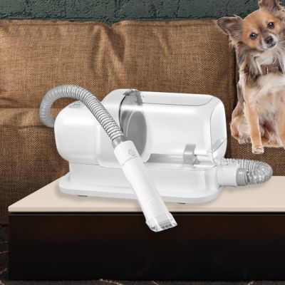 aspirateur-poil-de-chien