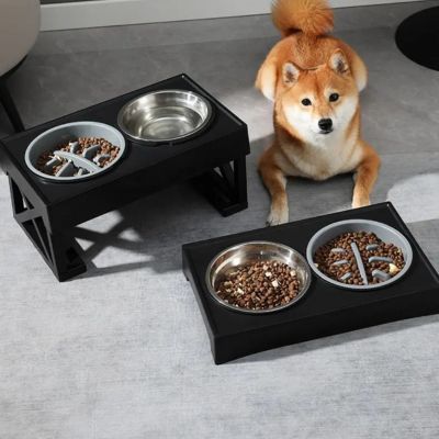 gamelle-pour-chien-TallBowl